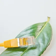 Nhân RJ45 Cat6e