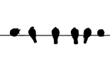 Dây nhảy quang SC-LC, Singlemode, Duplex